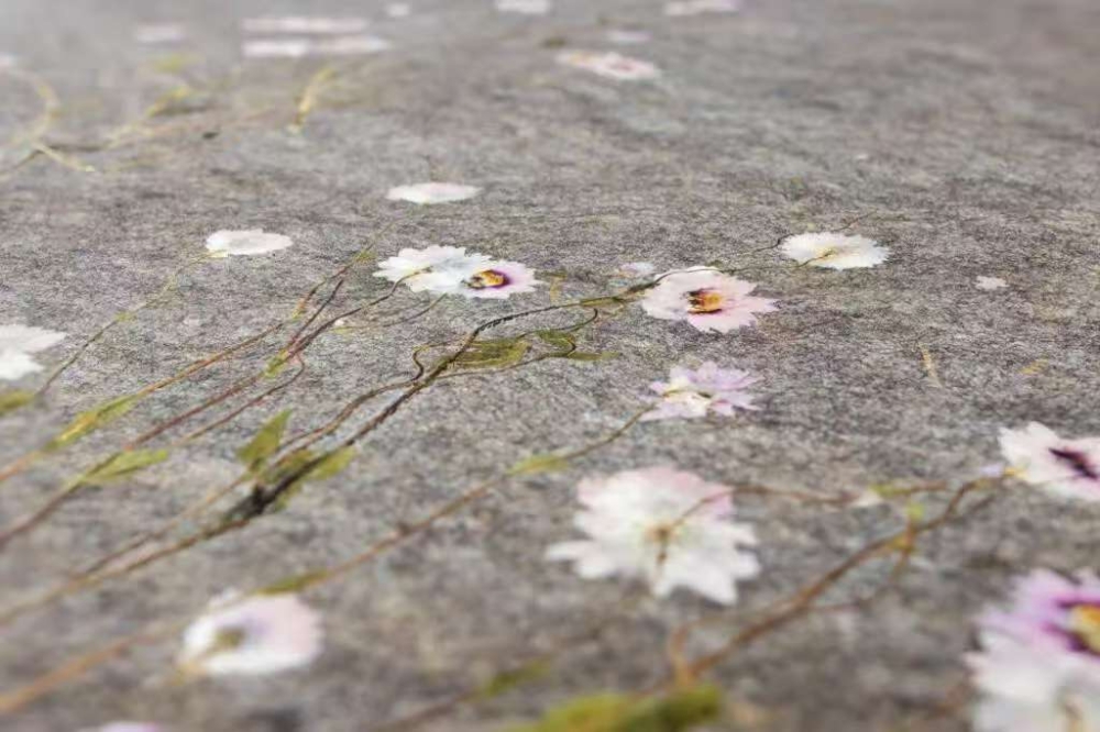 灰色羊毛、粉色鳞托菊