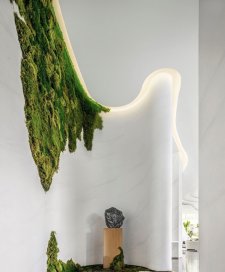 仿真植物墙 038
