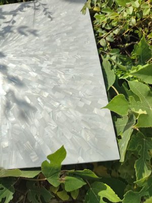 艺术贝壳马赛克12