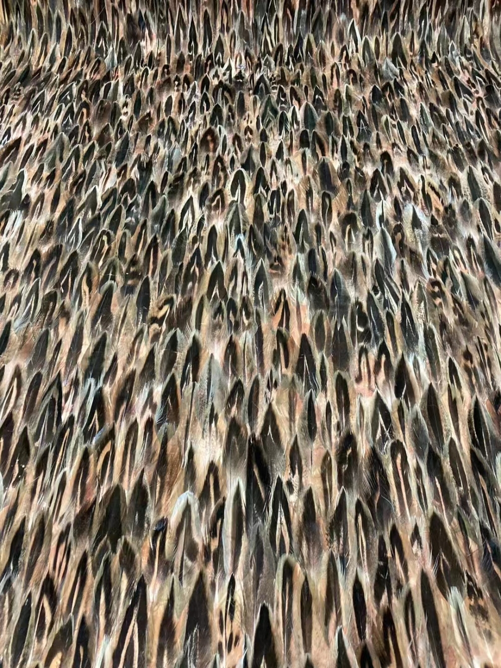 天使的羽毛