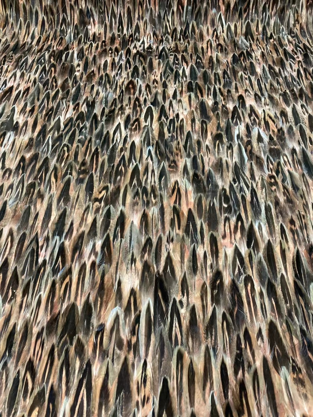 天使的羽毛