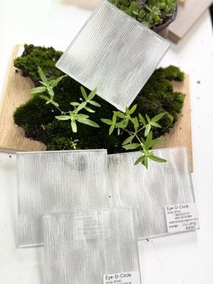 夹丝玻璃