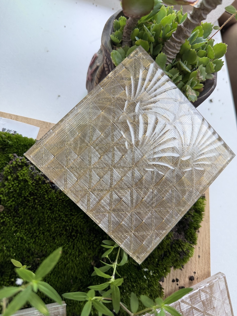 夹丝玻璃