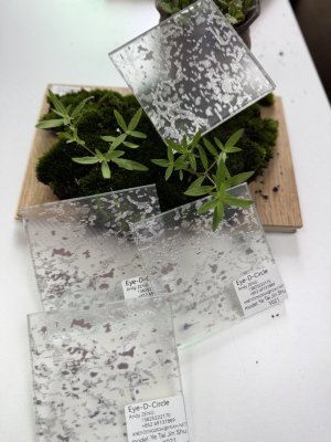 夹丝玻璃