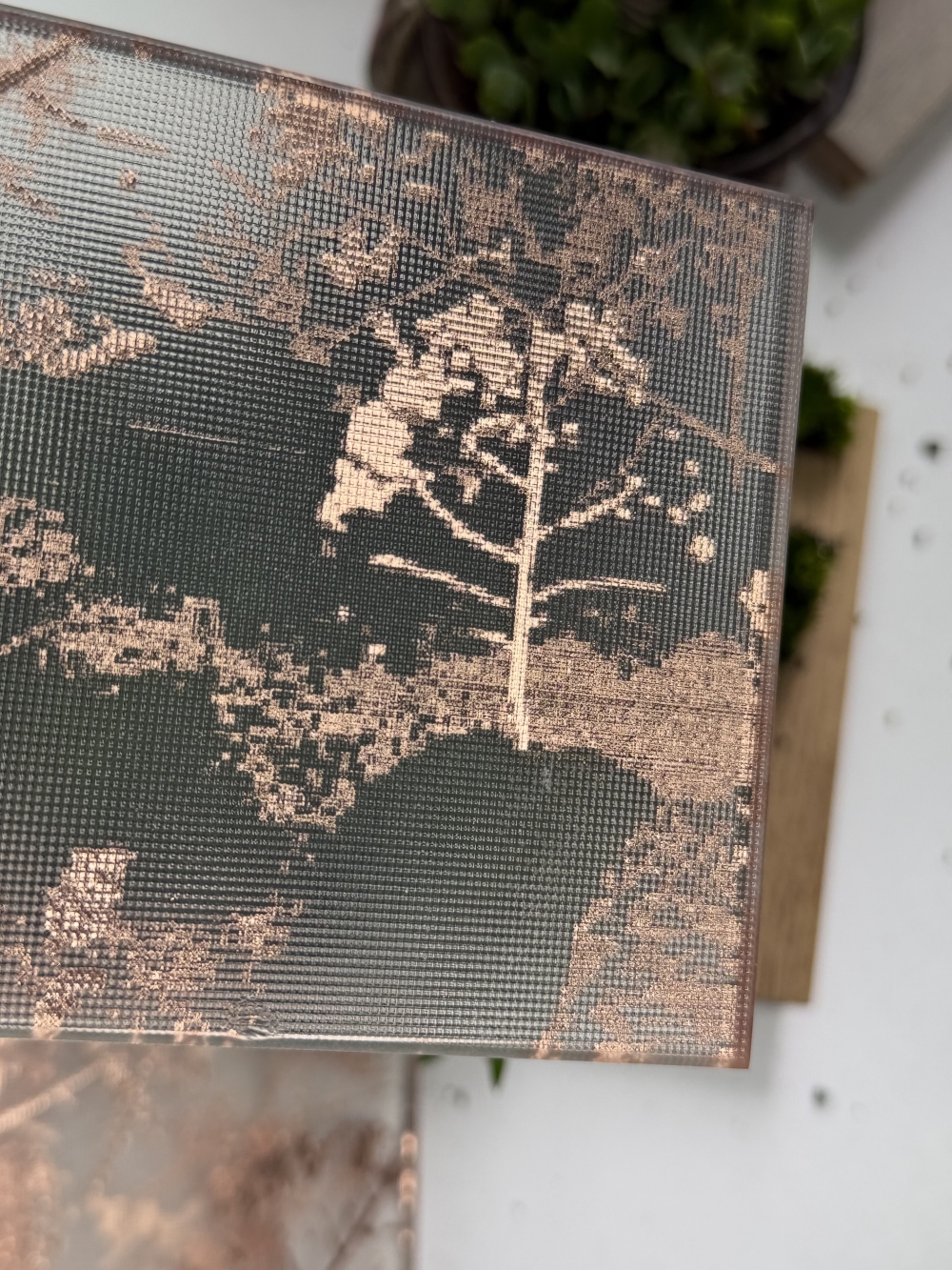 夹丝玻璃