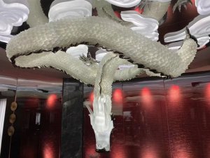 龙的传人