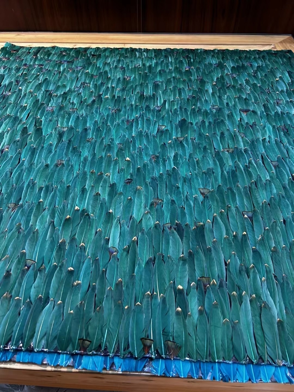 天使之羽毛