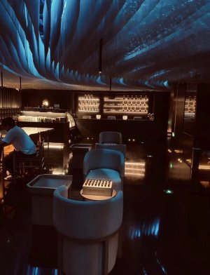 金属网帘05