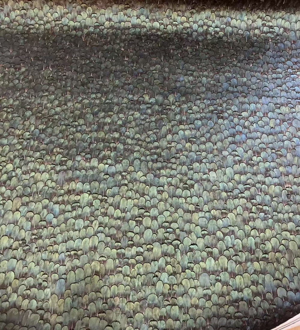 天然羽毛墙纸